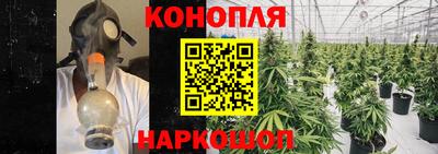 дживик Можга