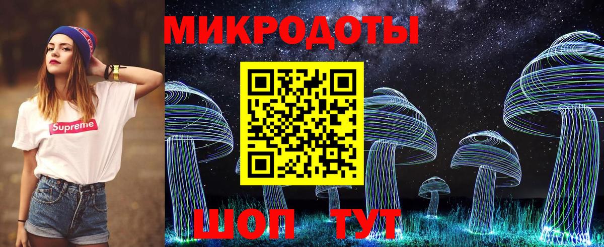 Псилоцибиновые грибы мицелий Ступино
