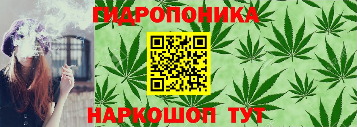 Шишки марихуана Bruce Banner  Каннабис индика  Конопля сатива  Вход с VPN  МАРИХУАНА семена  Ступино 